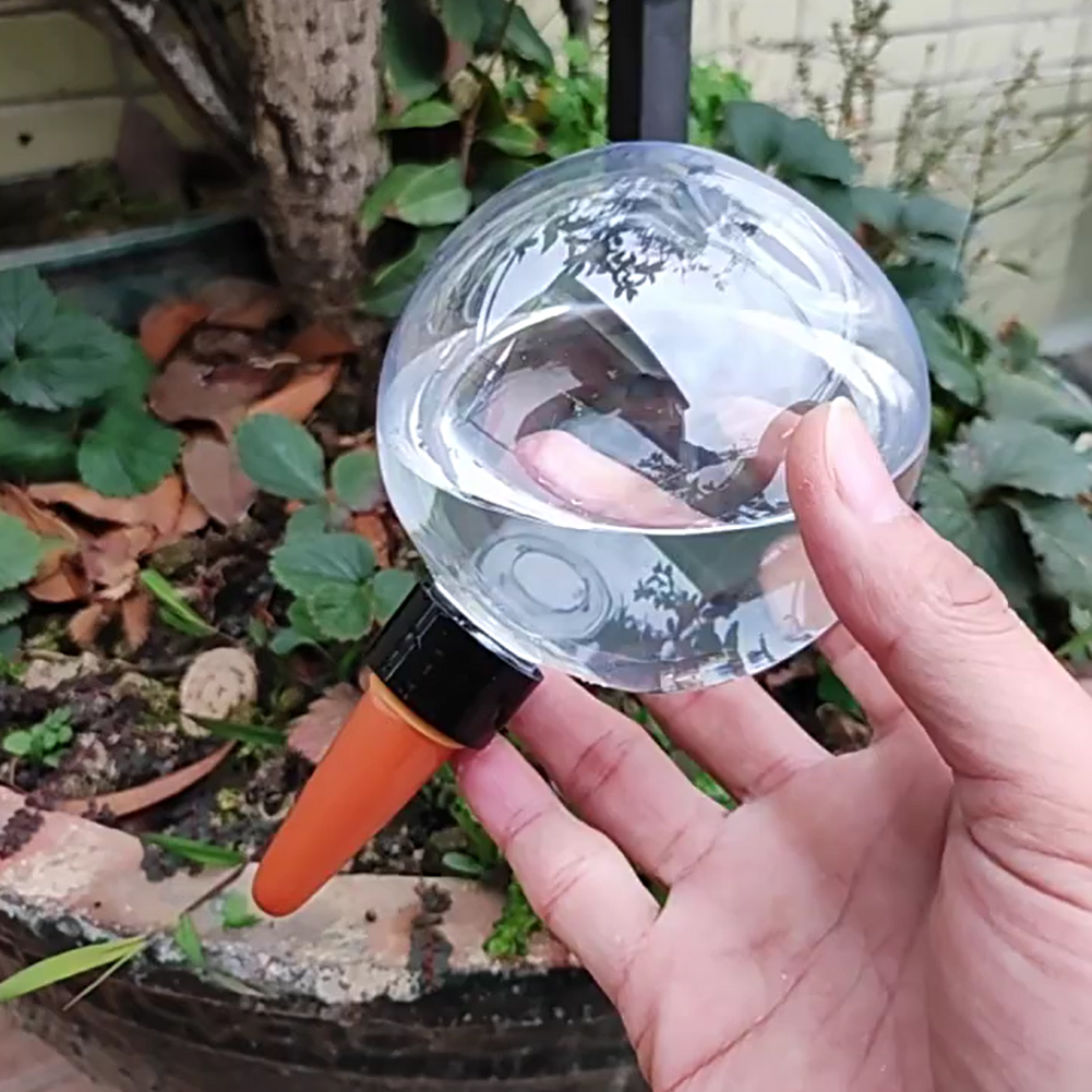 Plant Watering Globe - Globos de Riego Automático de 500