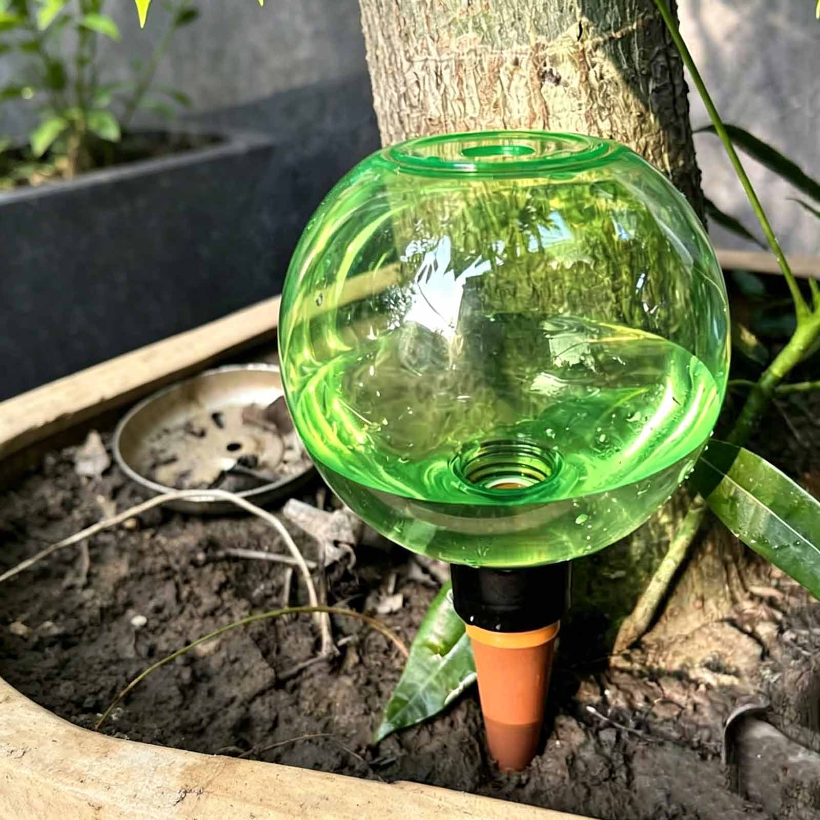 Plant Watering Globe - 1/4 Piezas de Globos de Riego