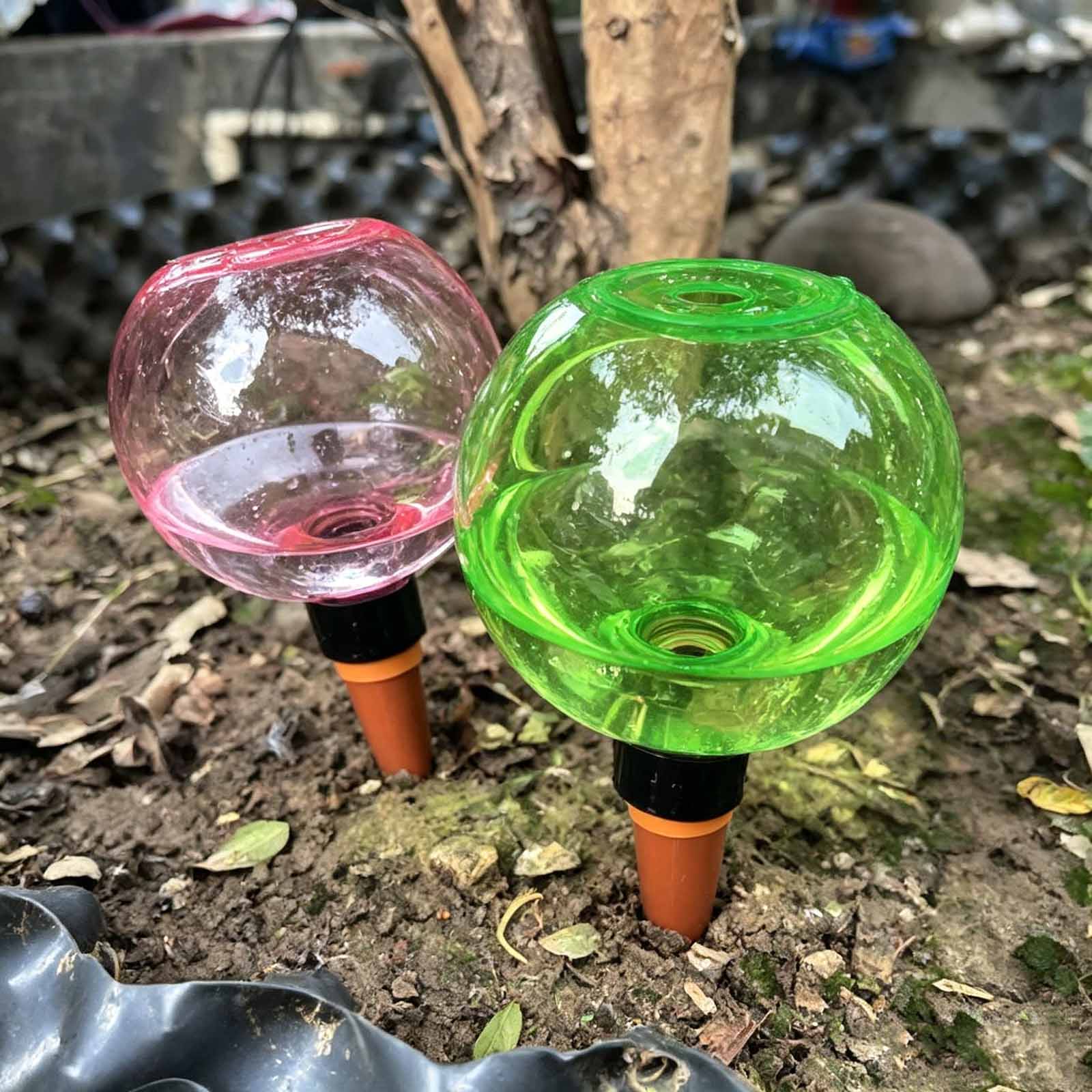 Plant Watering Globe - 1/4 Piezas de Globos de Riego