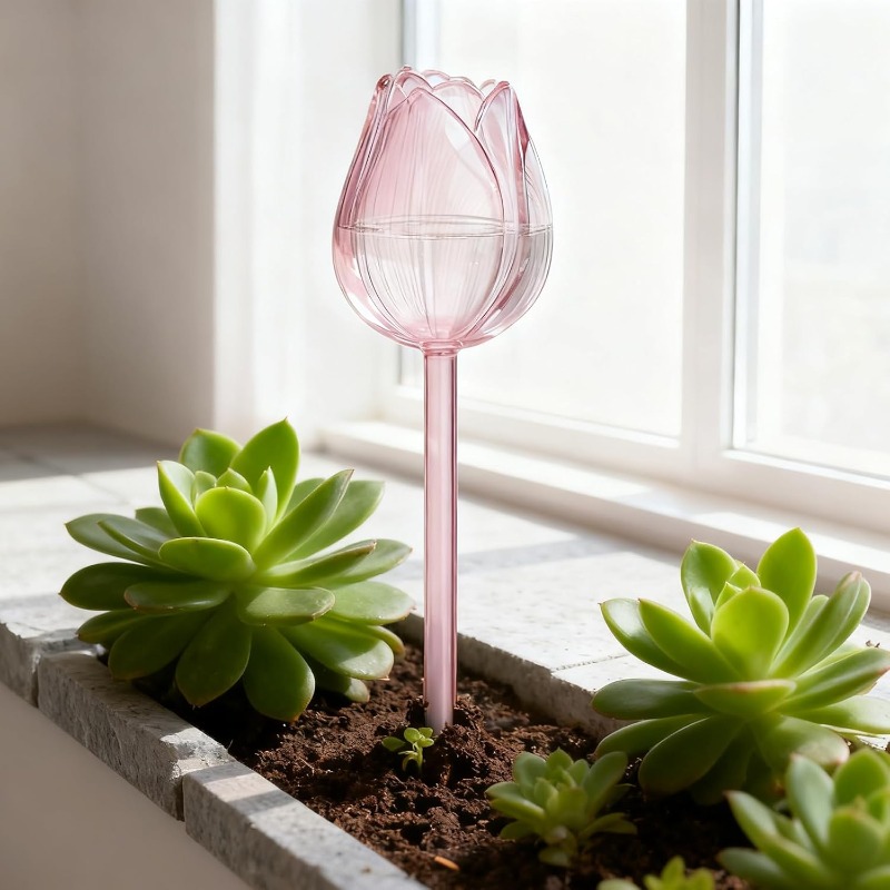 Bolas de Riego para Plantas de - Plant Watering Globe reseña y precio