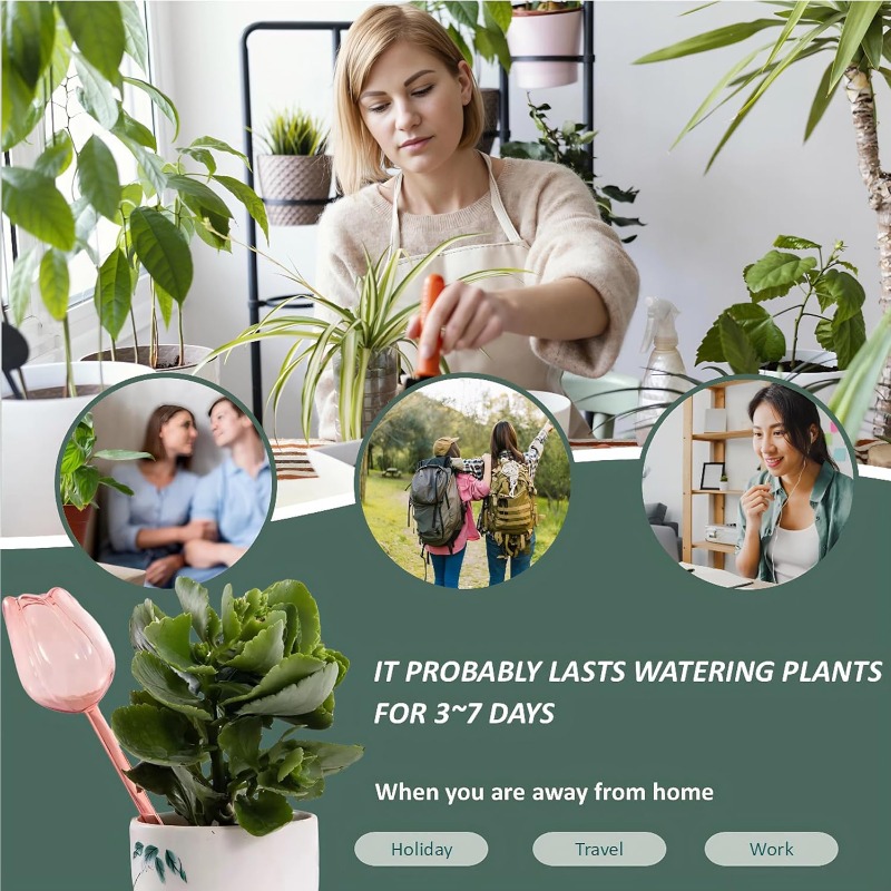 Bolas de Riego para Plantas de - Plant Watering Globe reseña y precio