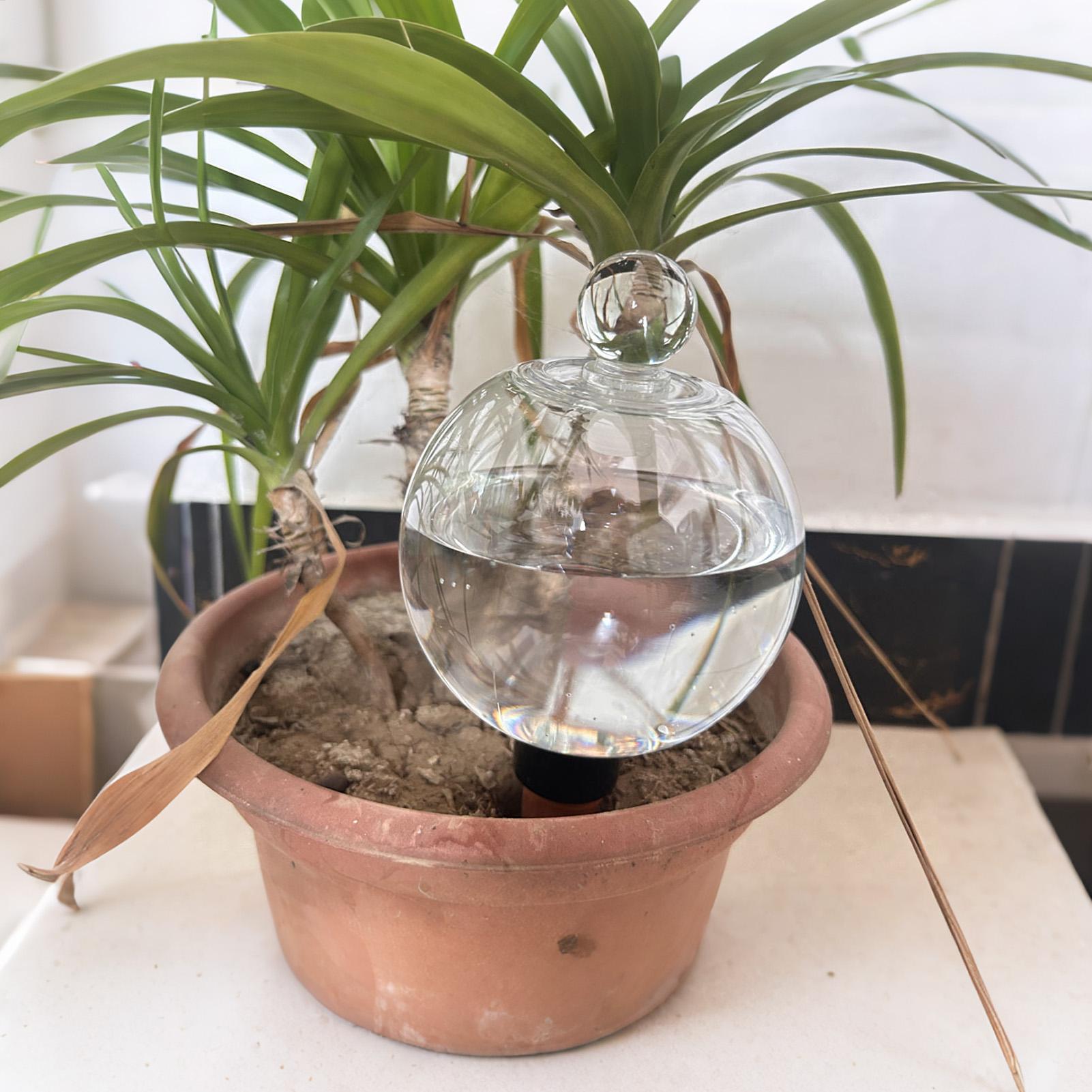 Bombillas de Riego para Planta - Plant Watering Globe reseña y precio