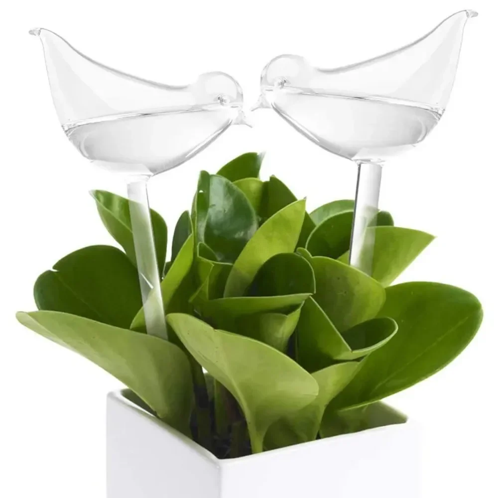 Dispositivo de riego de flores - Plant Watering Globe reseña y precio