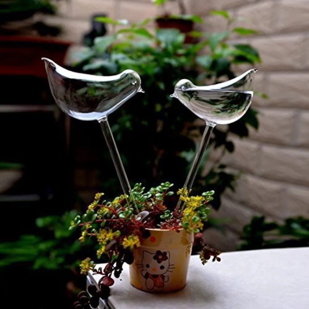 Dispositivo de riego de flores - Plant Watering Globe reseña y precio