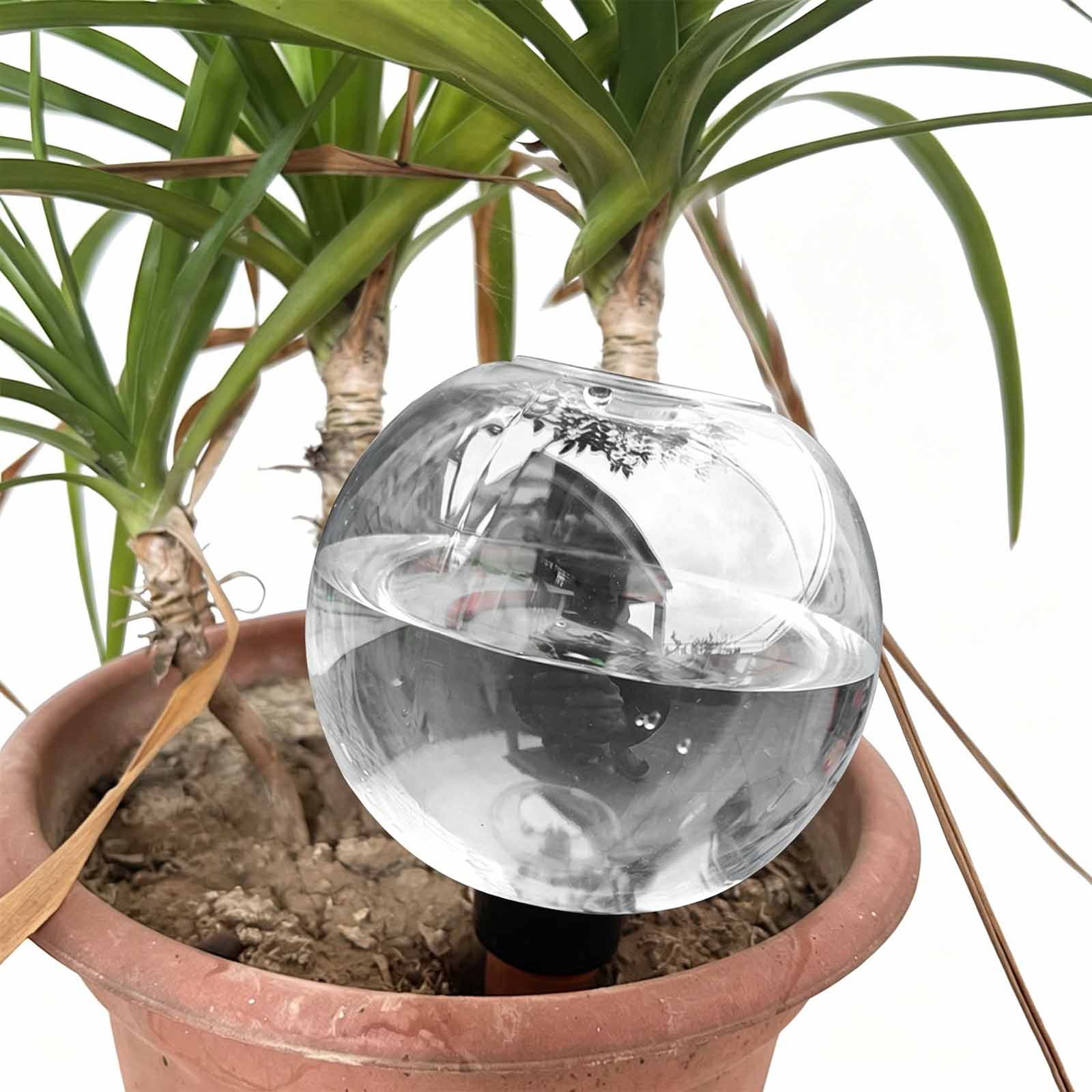 1/4 Piezas de Globos de Riego  - Plant Watering Globe reseña y precio