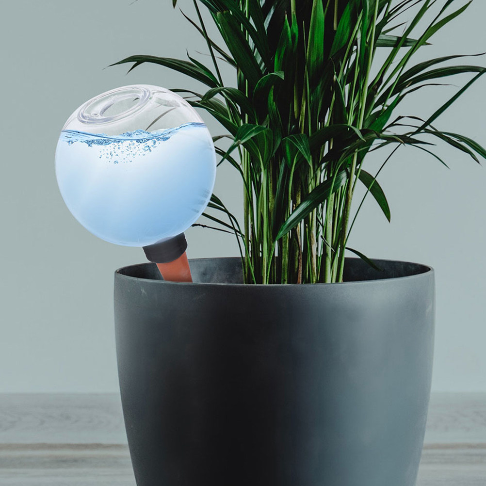 3 piezas de regadores automáti - Plant Watering Globe reseña y precio