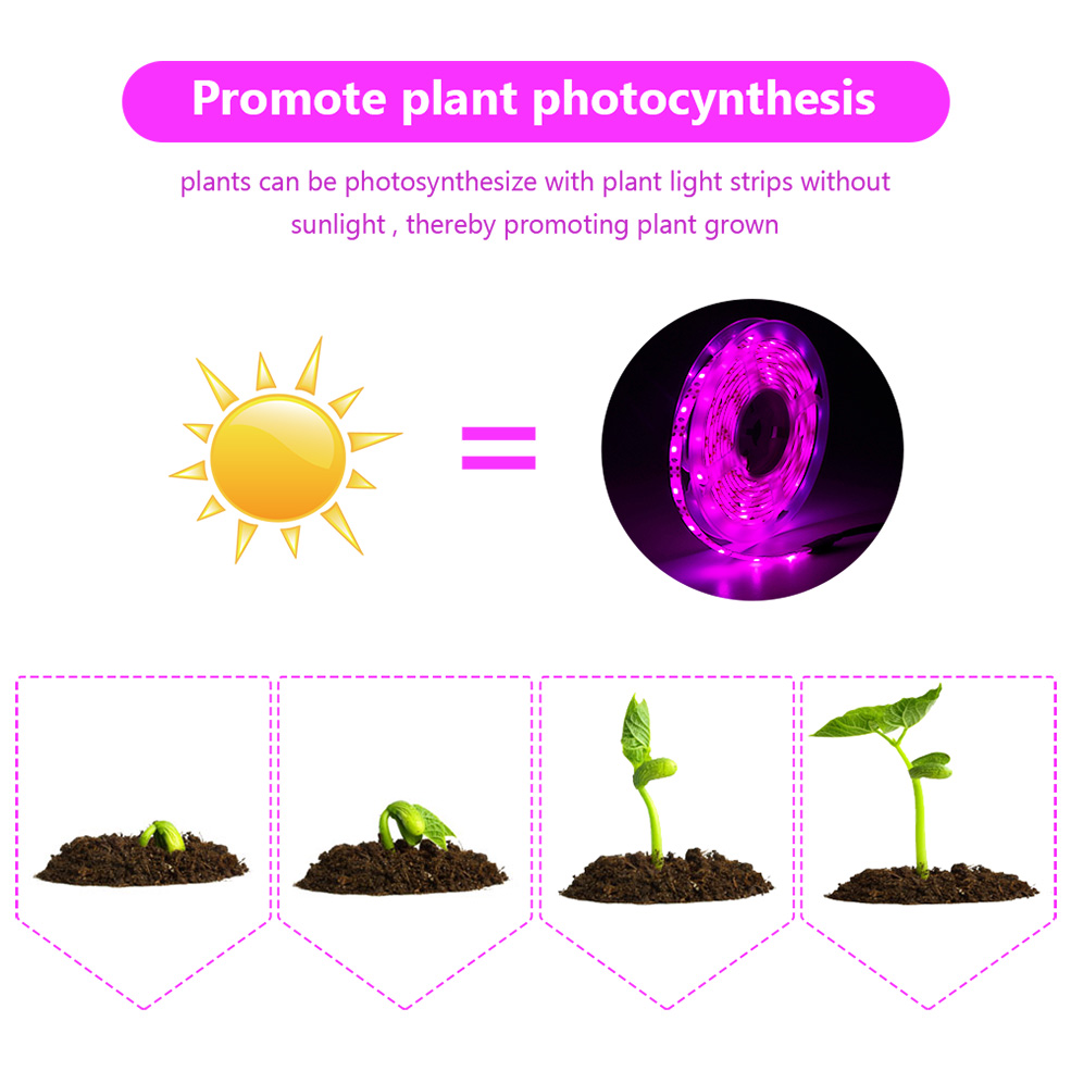 Tira de luces LED de espectro  - Led Plant Light Strip reseña y precio