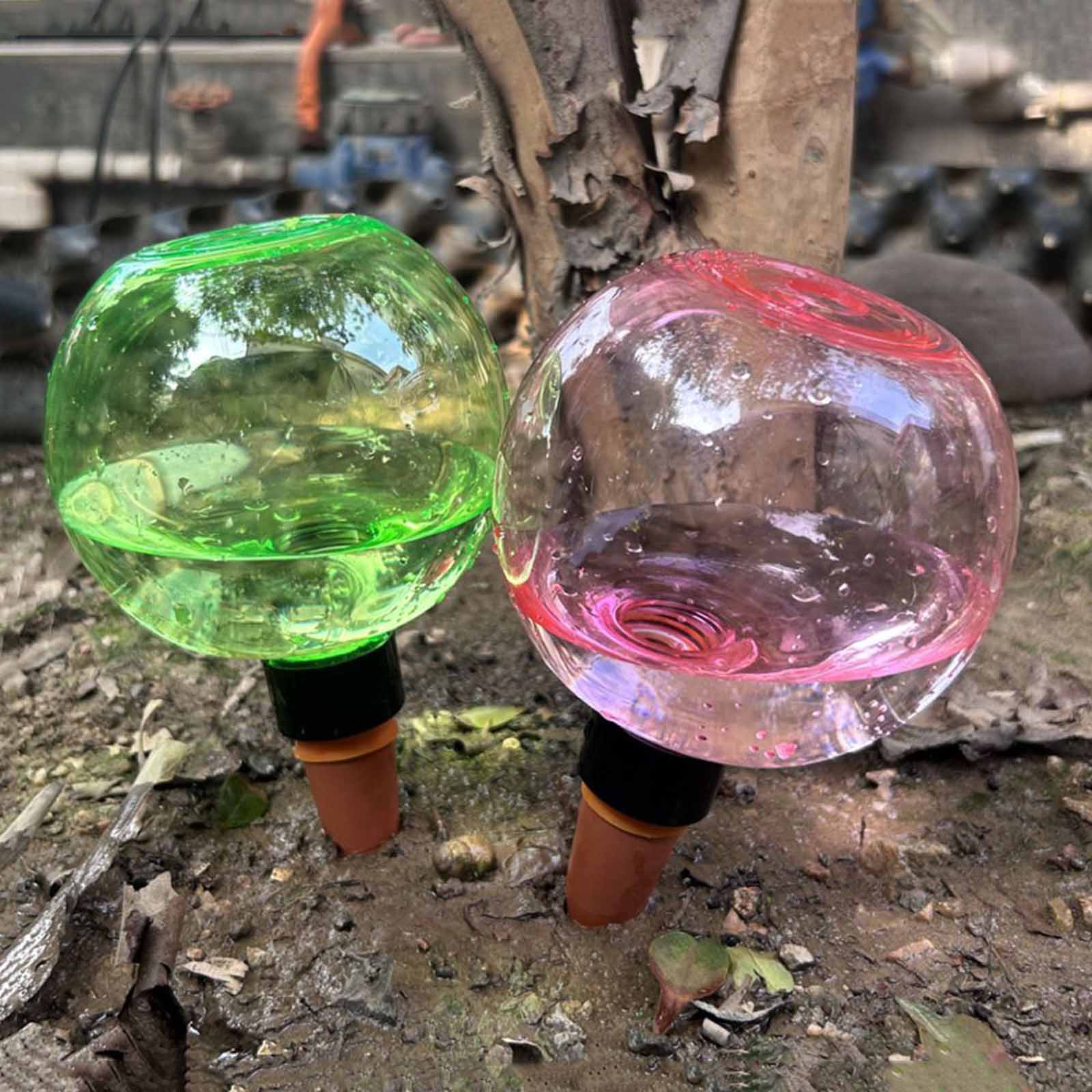 1/4 Piezas de Globos de Riego  - Plant Watering Globe reseña y precio