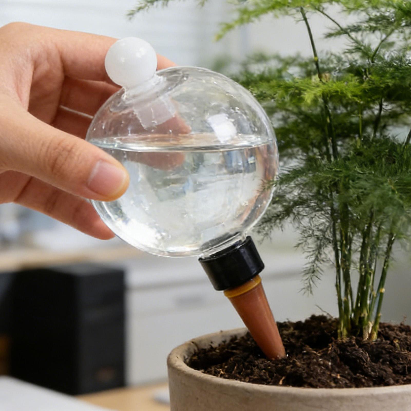 4 Bombillas de Riego Automátic - Plant Watering Globe reseña y precio
