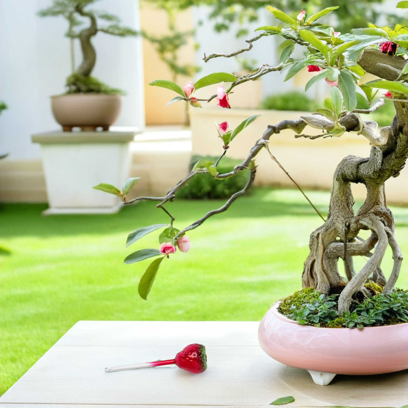 2 Globos de Vidrio para Riego  - Plant Watering Globe reseña y precio