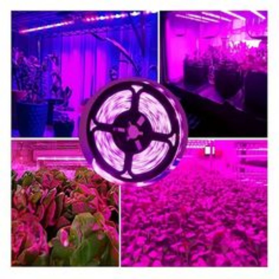 1M/2M/3M/5M/10M LED de espectr - Led Plant Light Strip reseña y precio