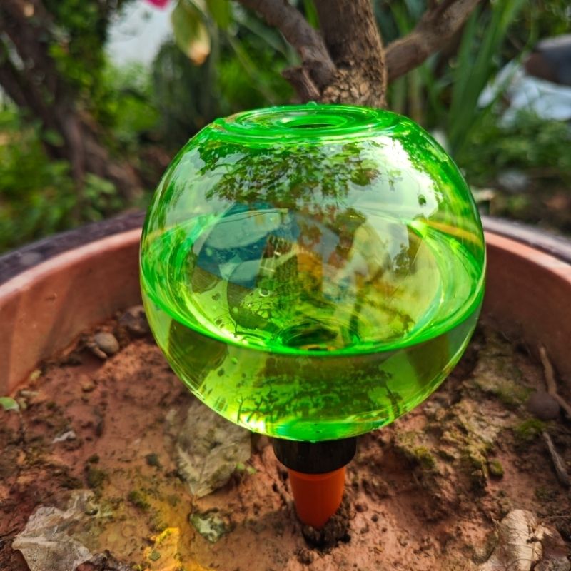 3 Globos de Riego Automático p - Plant Watering Globe reseña y precio