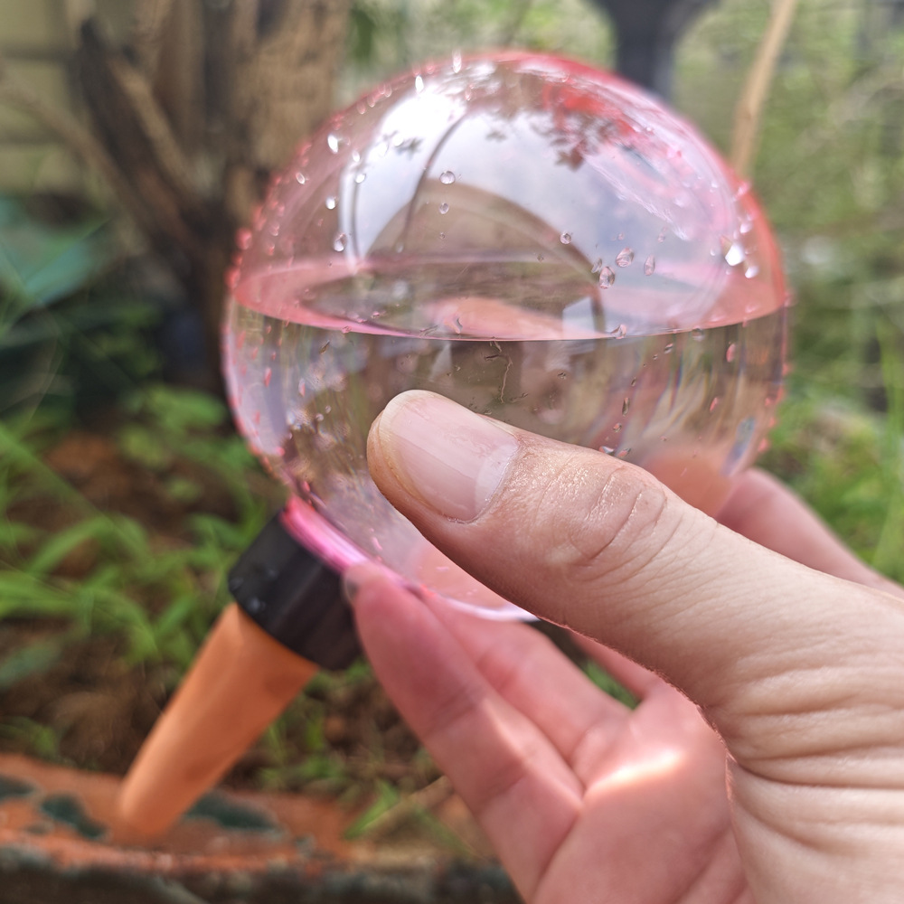 1/4 Globos de Riego Automático - Plant Watering Globe reseña y precio