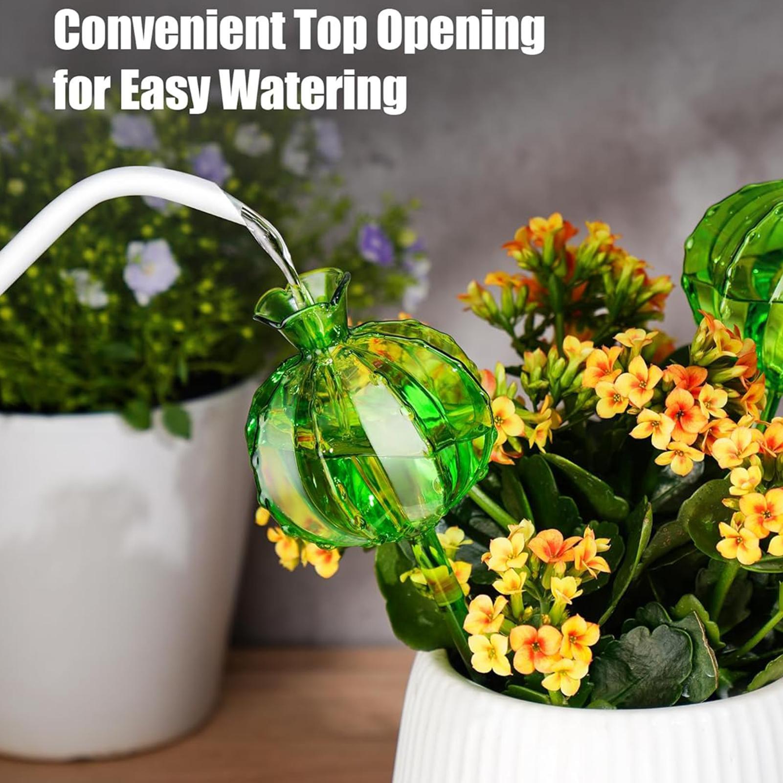 Estacas de riego para plantas, - Plant Watering Globe reseña y precio